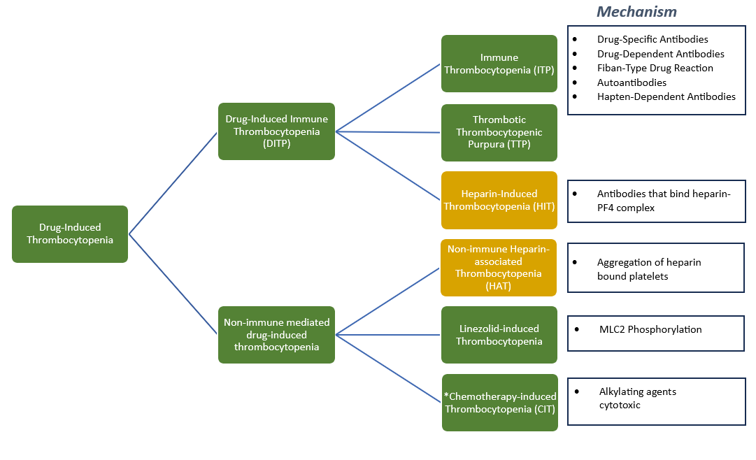 Drug-Induced Thrombocytopenia