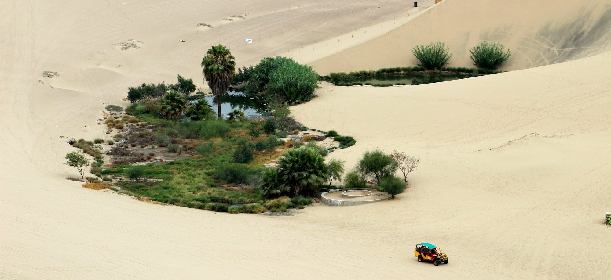 OASIS-4 Journal Club